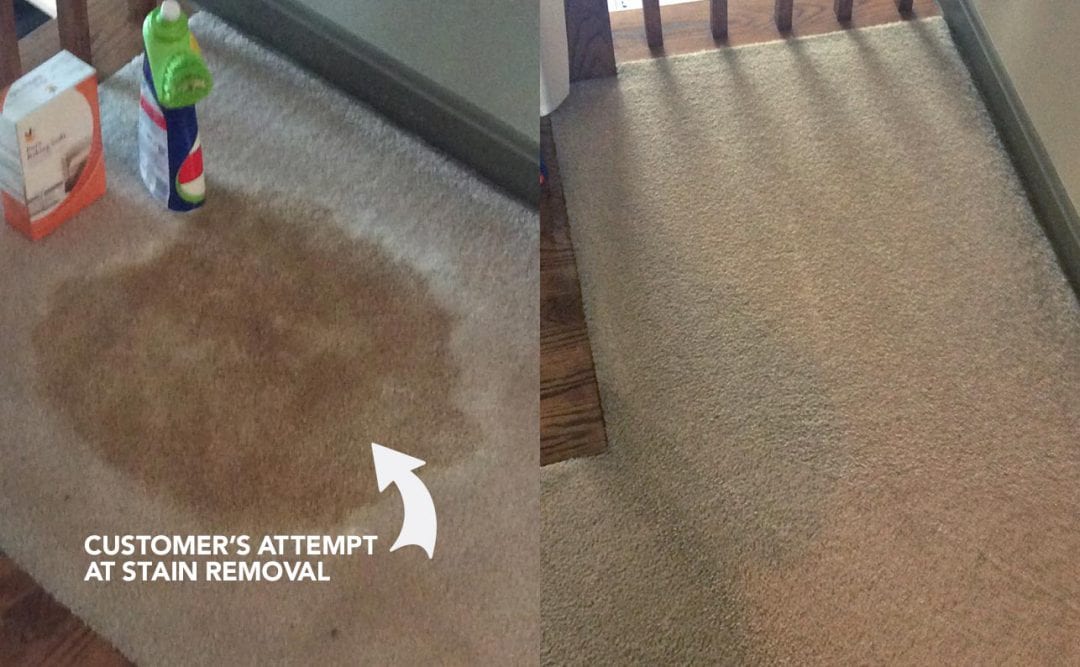 Carpet Cleaning, Area Rug Cleaning Before and After Photos