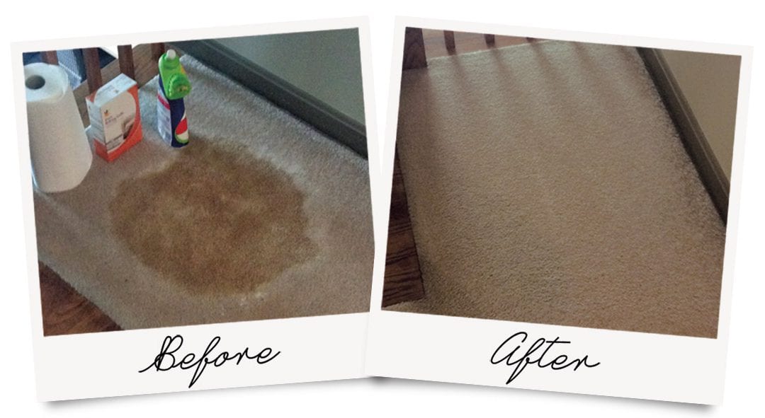 DIY Carpet Cleaning Disaster Before and After Photo, with restored condition.