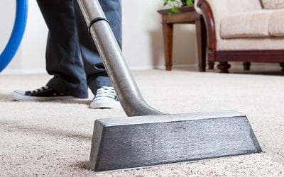 What is the Best Season to Have Your Carpets Cleaned?