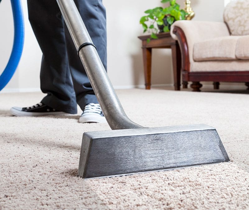 carpet cleaning