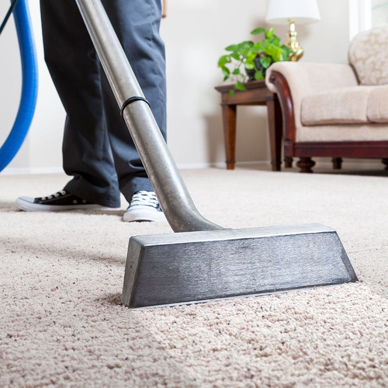 Carpet Cleaning using Hot Water Extraction Method.