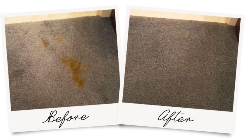 Carpet Cleaning, Upholstery, Area Rug, & Floor Cleaning Hagerstown MD