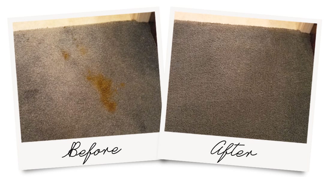 Before and After photo showing stain removal from carpet