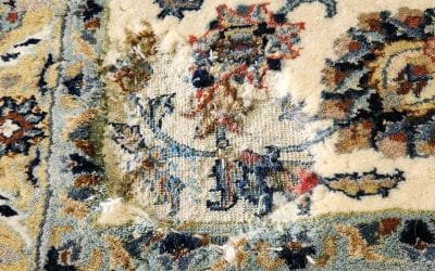 Protect Your Investment: Comprehensive Guide to Identifying, Treating, and Preventing Moth Damage in Natural Fiber Rugs