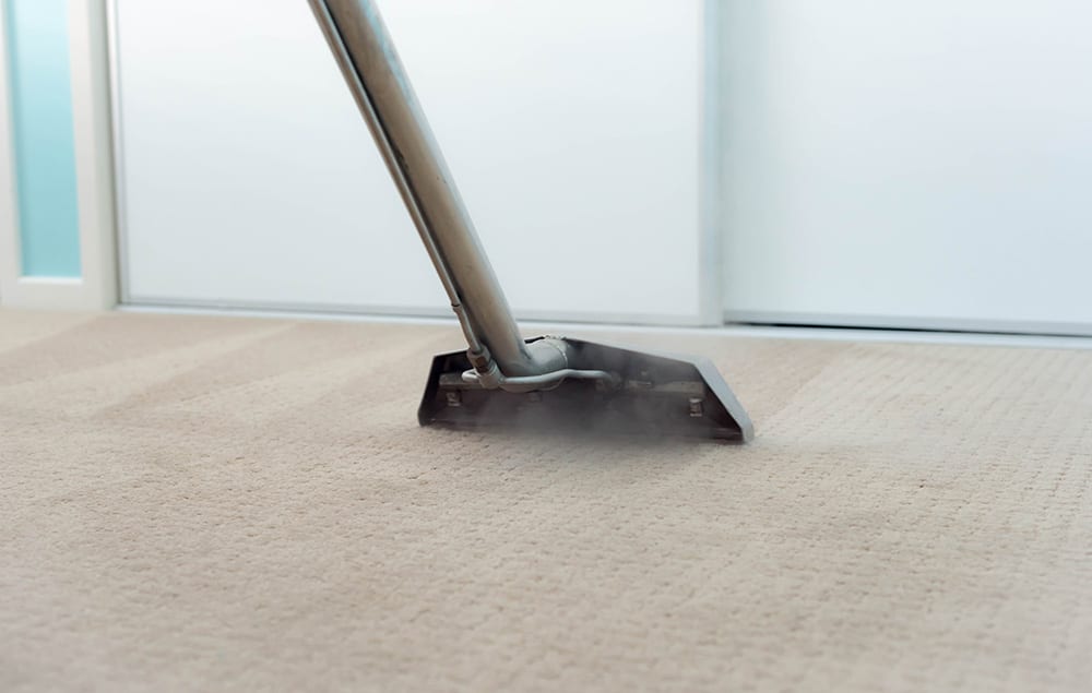 Carpet Steam Cleaning, removing stains & soils from a carpet