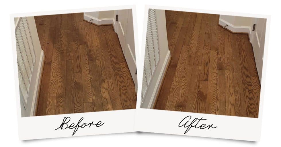 Carpet Cleaning, Upholstery, Area Rug, & Floor Cleaning Hagerstown MD